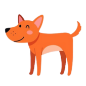 Perro